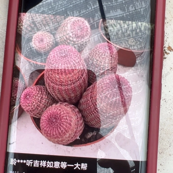 A***吉祥如意等名家的书法