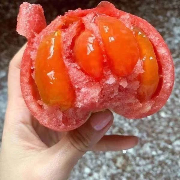 【京东快递】生吃西红柿老口感水果番茄攀枝花露天种新鲜沙番茄5斤