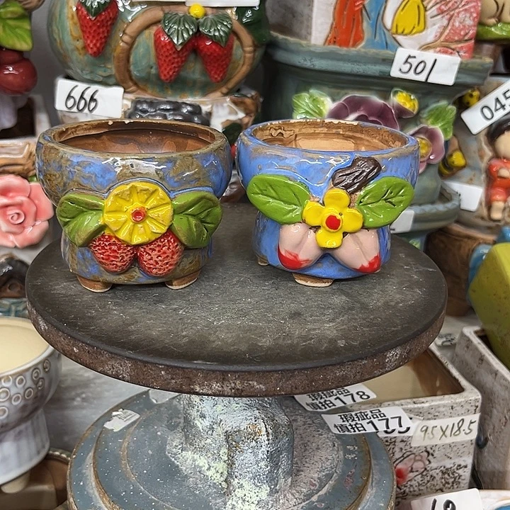 粗陶材质多肉花盆