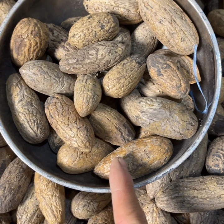 吊坠千眼菩提千眼菩提第40
