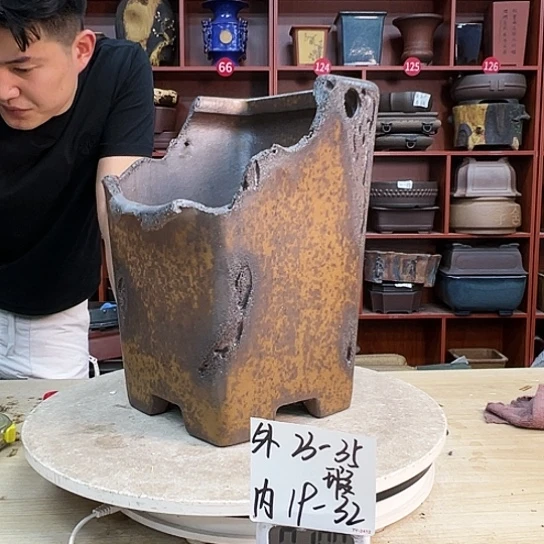 浪*紫砂花盆中放一盆花