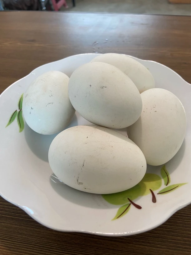 农家散养咸一卤鲜鹅蛋