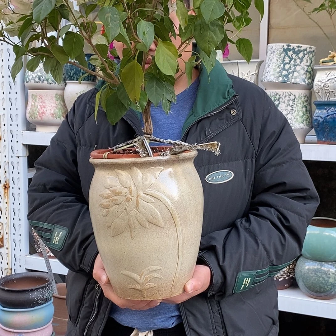 紫砂花盆口20高25福利