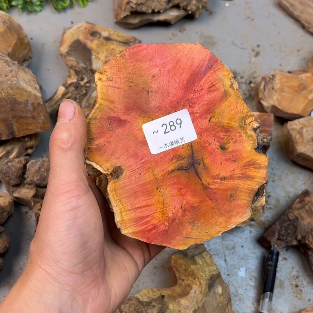 洛***啊无花朵000000000289