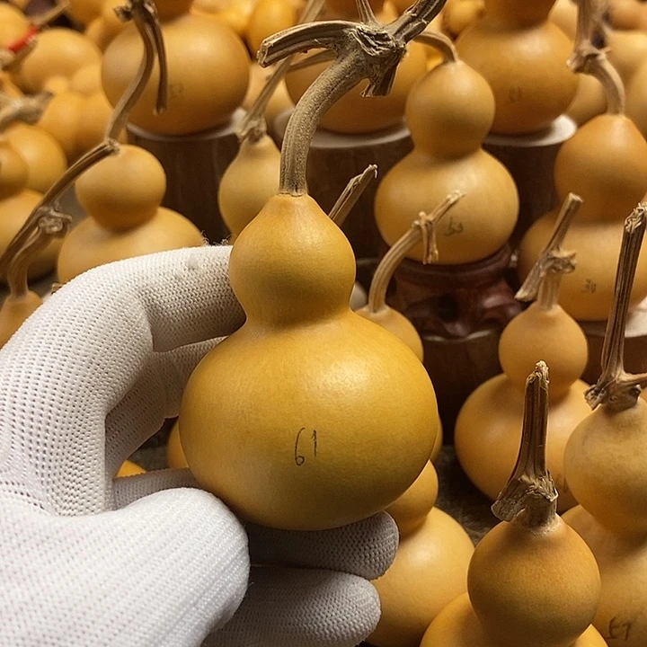 文玩葫芦 完美主义者 慎拍61