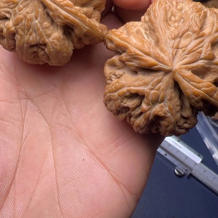 豌***荚吊坠文玩核桃哈哈哈哈哈哈