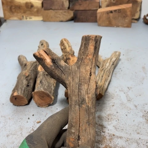 大果紫檀（缅甸花梨）大*师