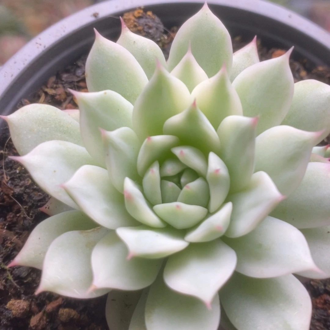 014啦啦啦啦啦啦啦啦啦