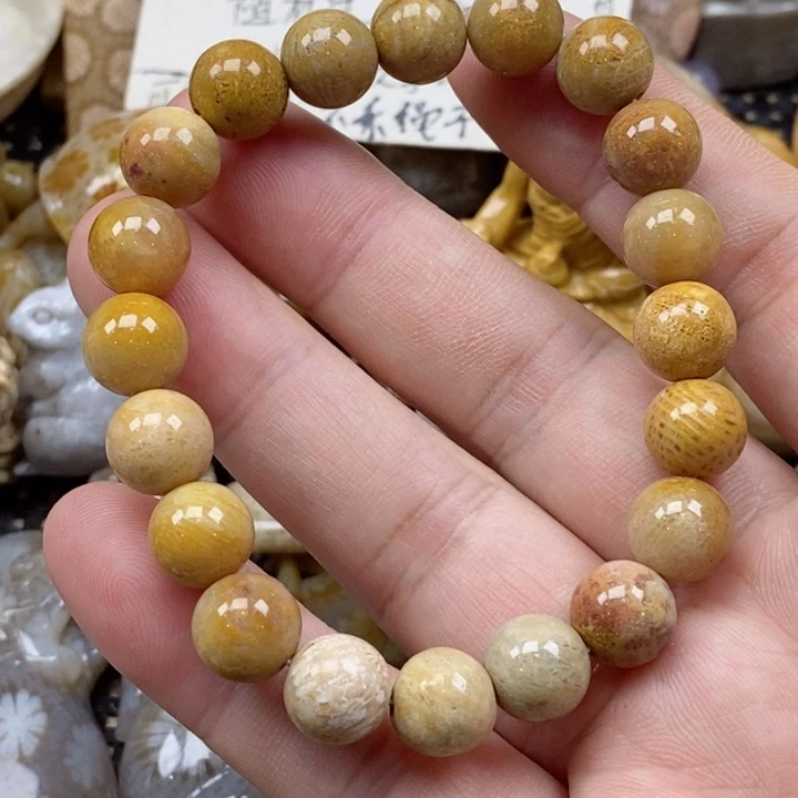 颈饰未镶嵌硅化珊瑚（珊瑚玉）