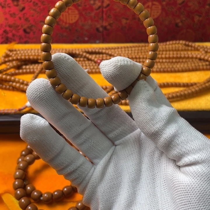 再****爹橄榄啊啊啊啊啊啊啊