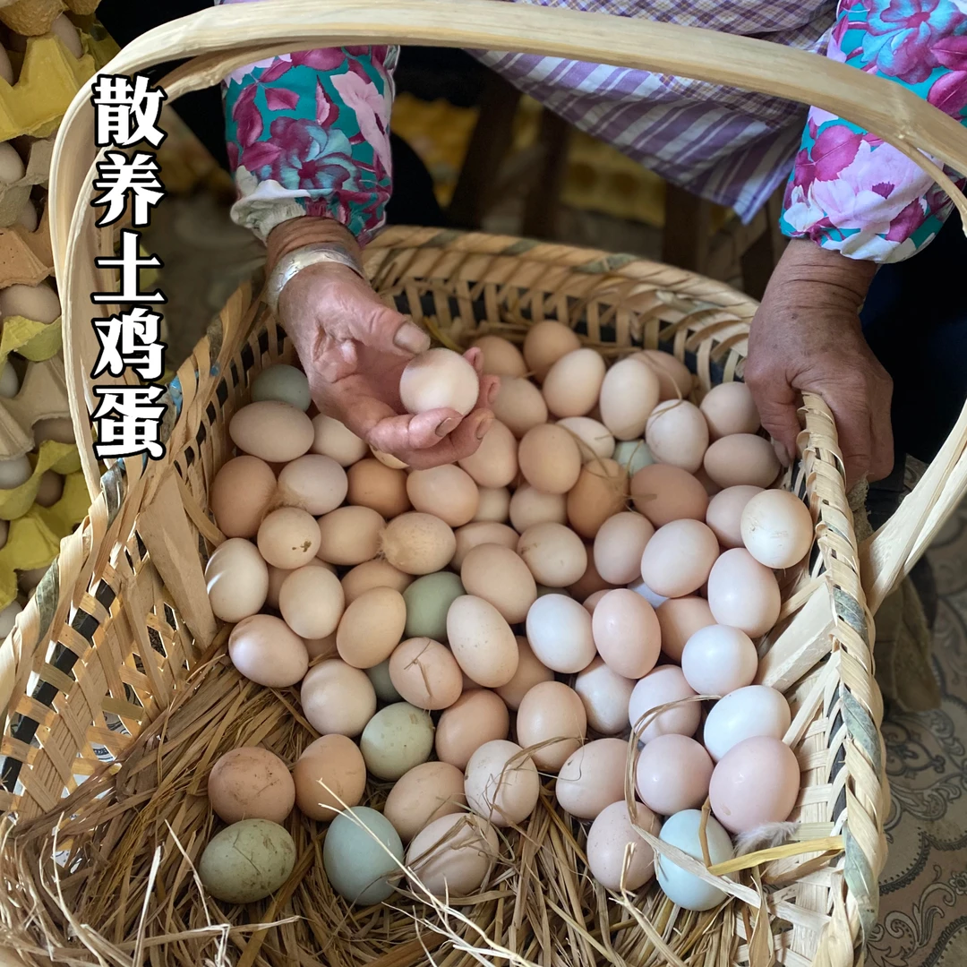 散养土鸡蛋 安徽黄山皖南土鸡山林跑鸡杂粮喂养生态散养京东包邮