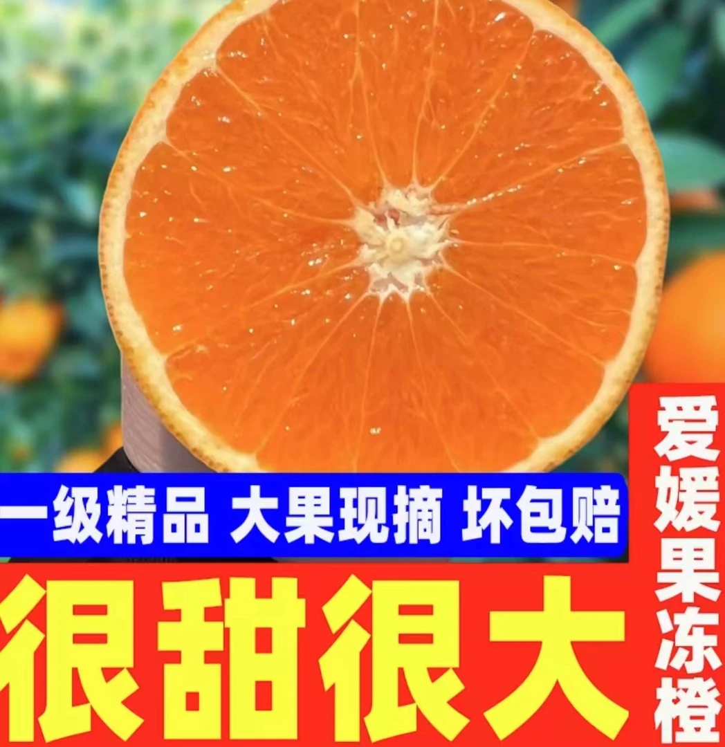 四川正宗爱媛38号果冻橙新鲜爆甜多汁新鲜坏果包赔大果10-14个果