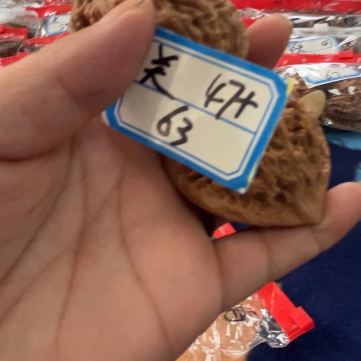 核桃47精品官帽63号