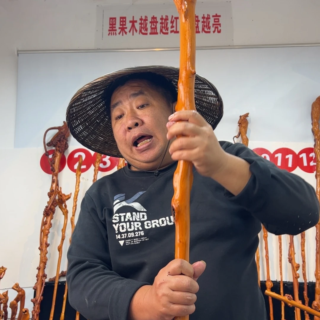 一***景黑果木其他黑果木637