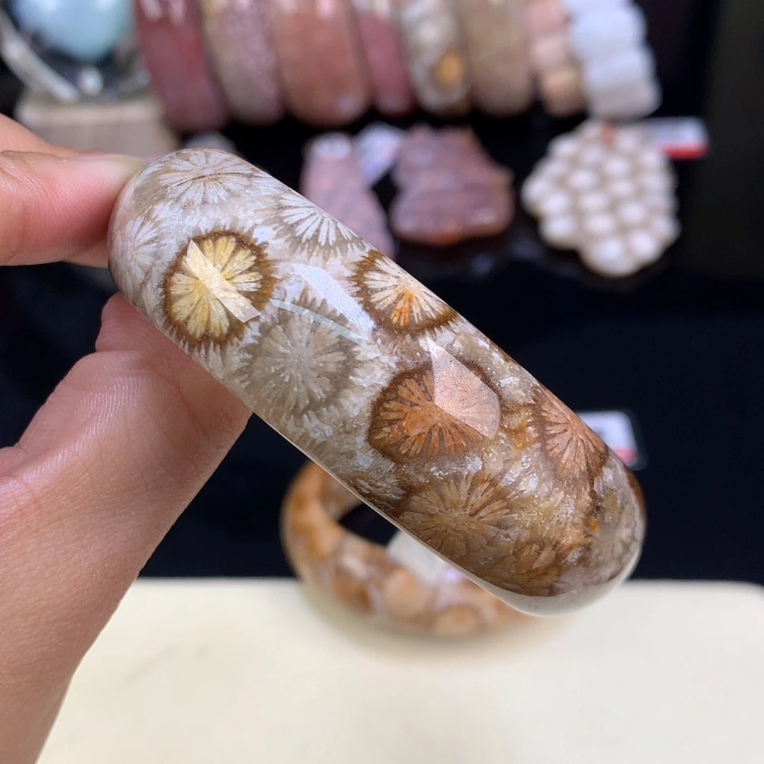【闪购商品】颈饰未镶嵌硅化珊瑚（珊瑚玉）2号精美手镯58.9起