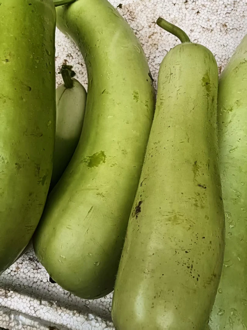 顺丰包邮石牌露天户子