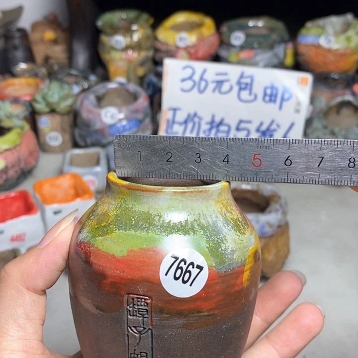 拍3送一个小礼物