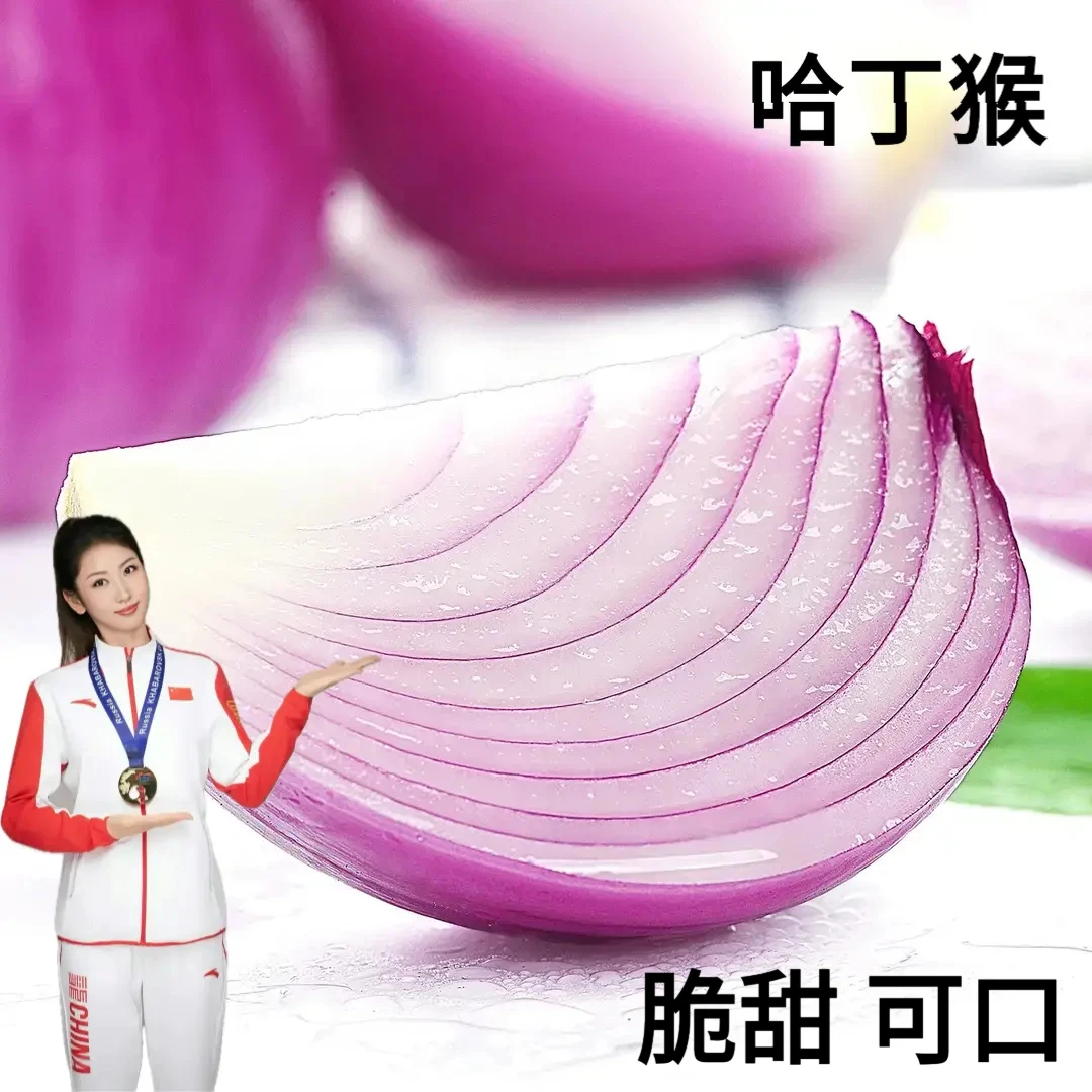 哈丁猴新鲜现挖水果扁洋葱蔬菜正宗扁红洋葱脆甜生吃微甜5斤装