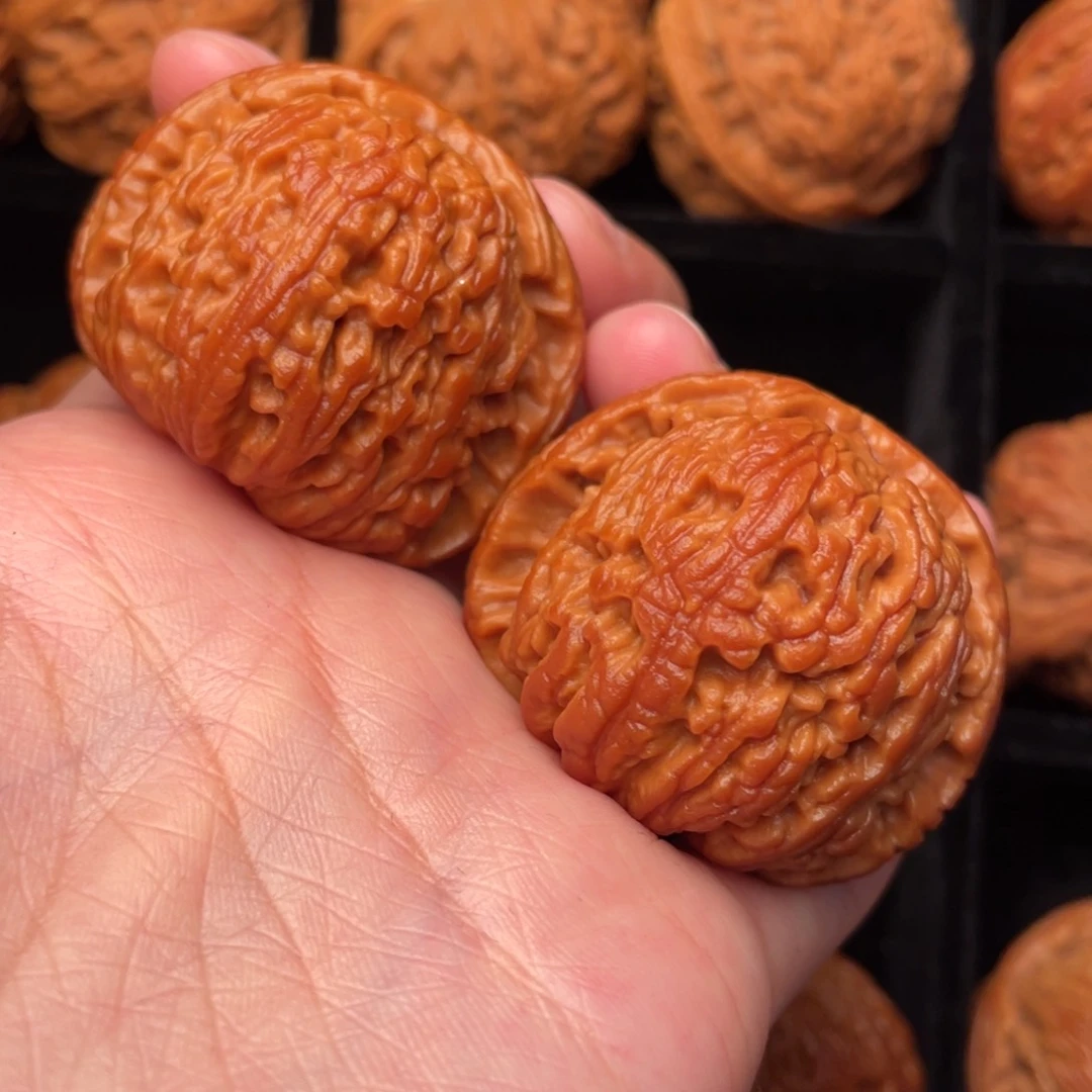 秦岭野生文玩核桃