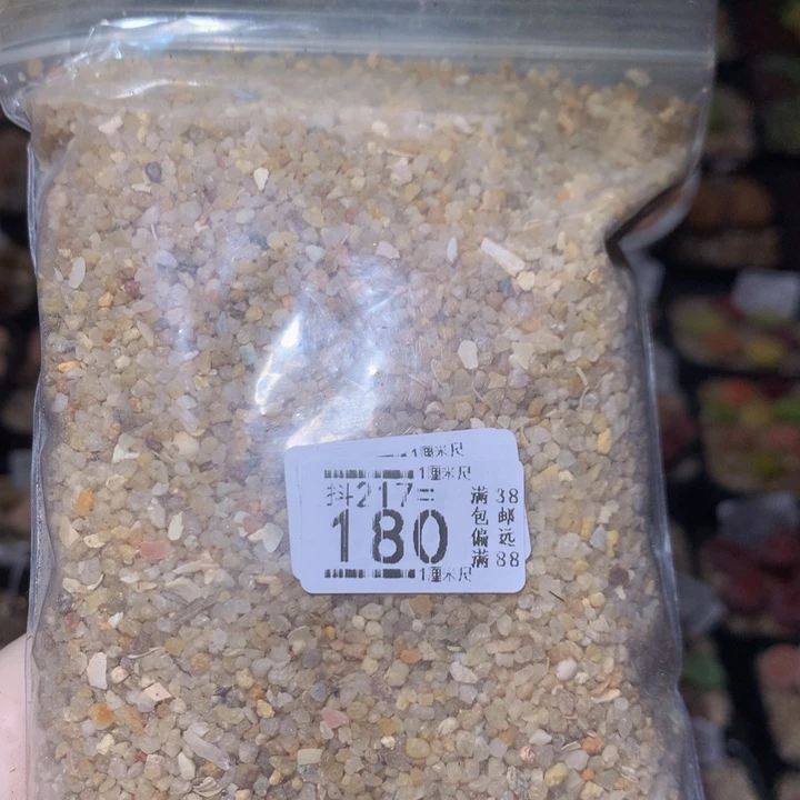 精品生石花217.180