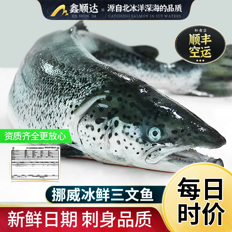 挪威进口冰鲜三文鱼一整条卖新鲜三文鱼可刺身寿司生鱼片即食水产