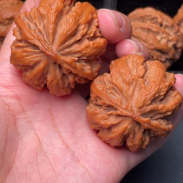 秦岭野生核桃文玩
