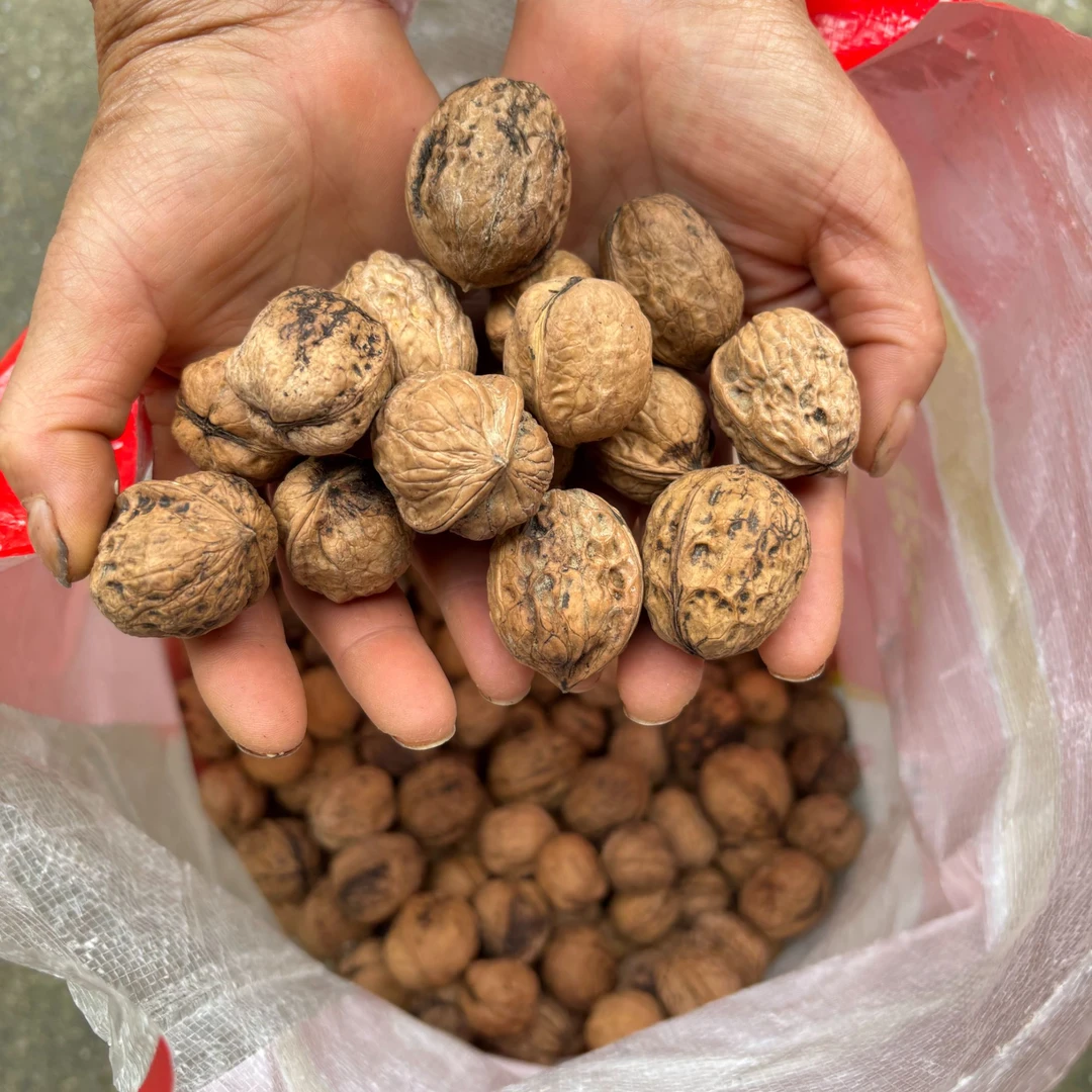 【城口】大巴山高山老品种核桃屿小妹