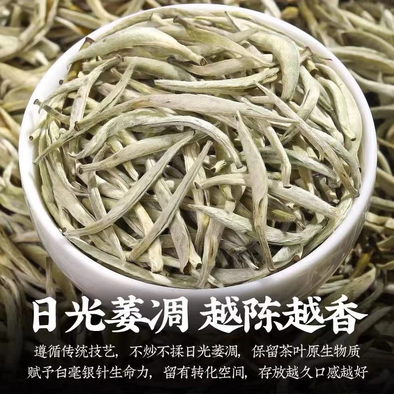 白豪银针25年头春品鉴装
