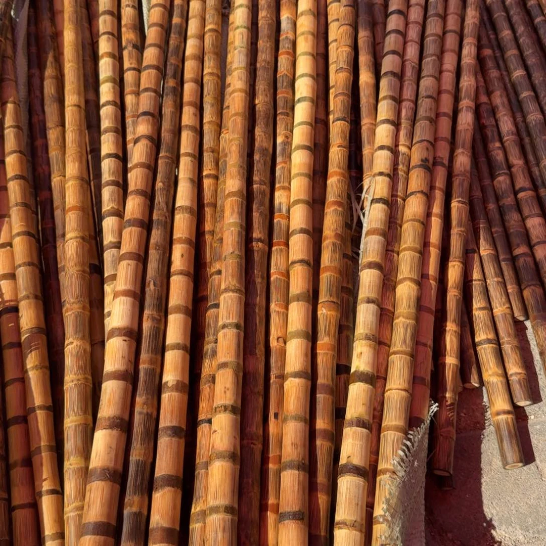 贡木木头木头木头