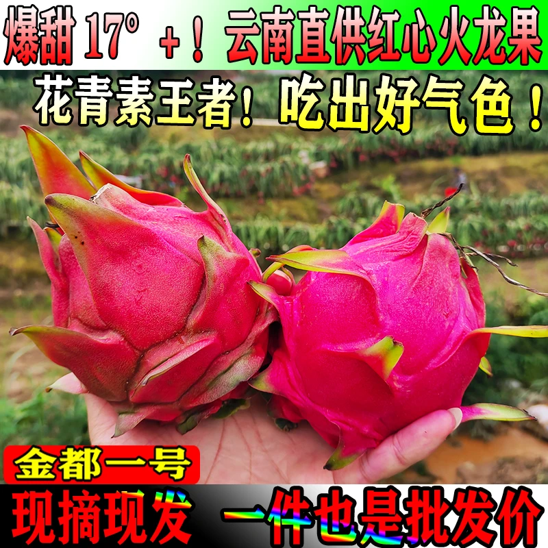 云南正宗金都一号红心火龙果红肉当季现摘应季新鲜水果一整箱批发