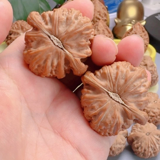 卡姿兰大眼文玩核桃