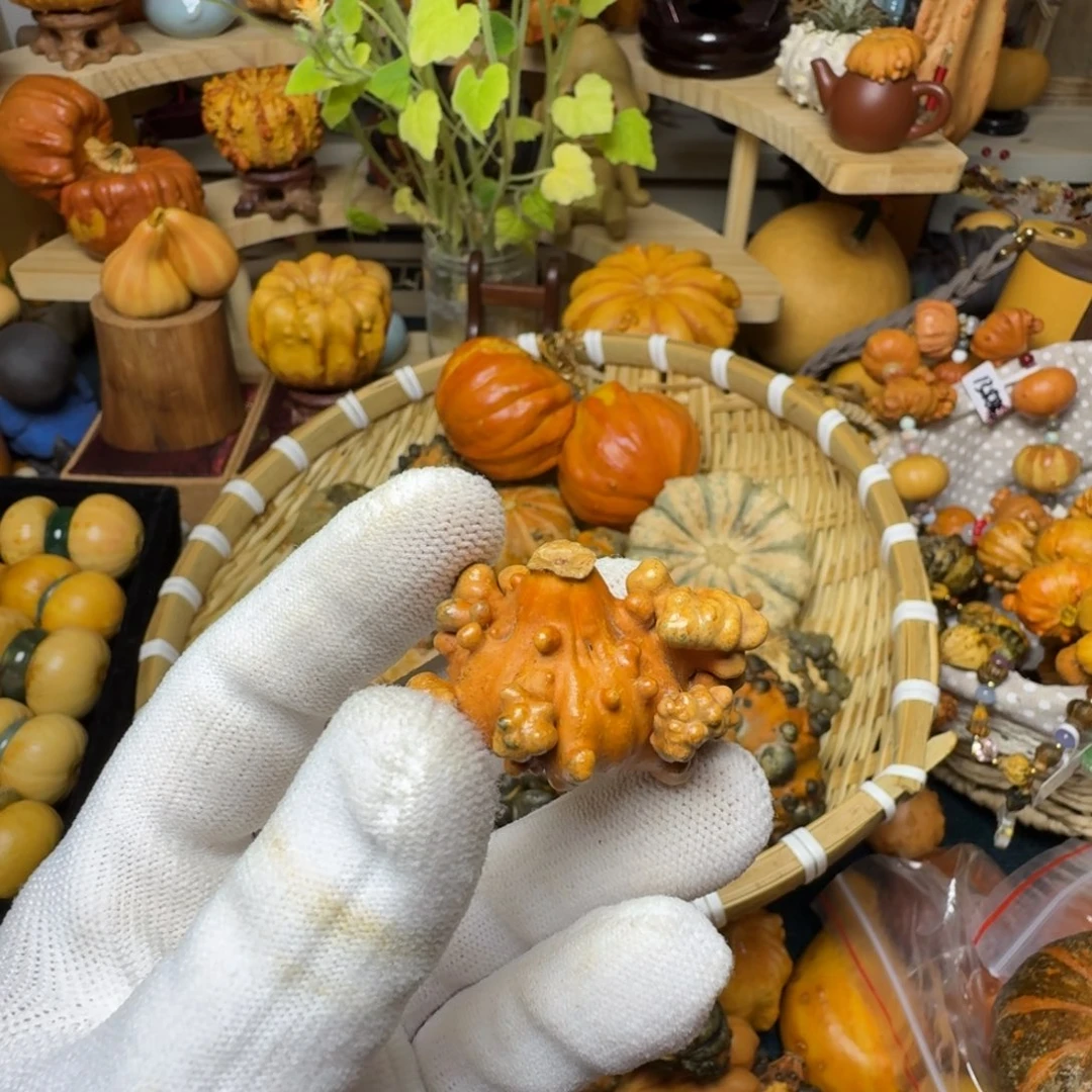 淺*特价葫芦不退不换