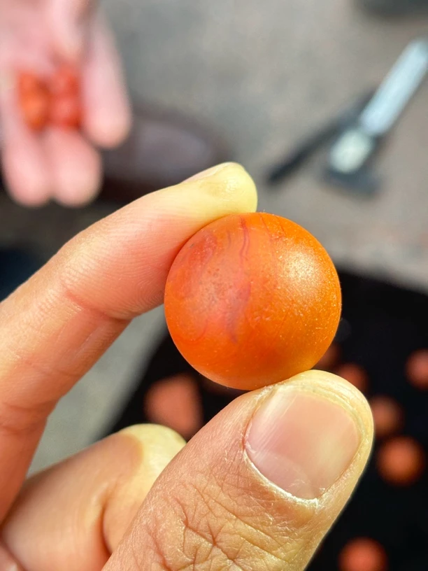 九口满肉柿子红卡20加