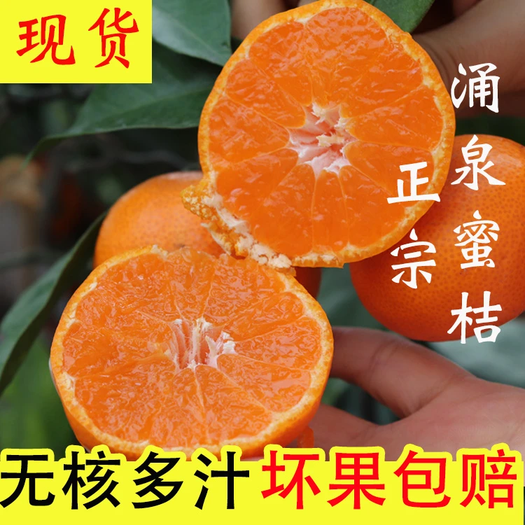 临海蜜桔早熟蜜橘5斤当季新鲜桔子非黄岩水果10斤无核橘子