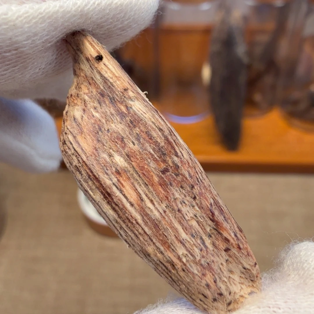 沉香海南小瓜子料