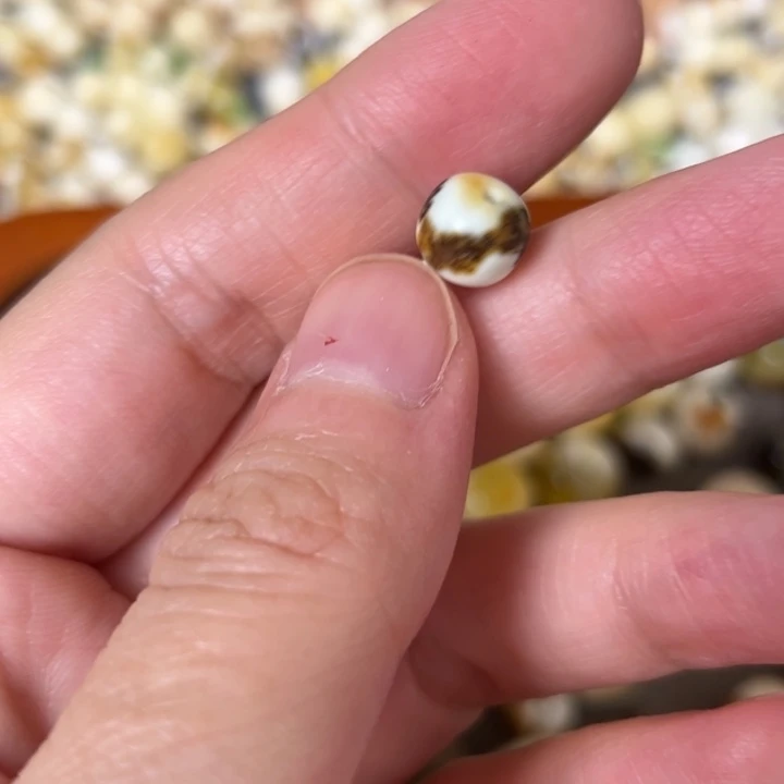 蜜蜡未镶嵌裸石8.3mm一个