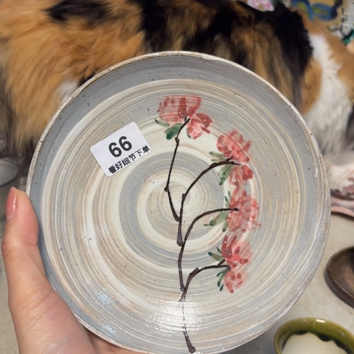 陶泥一个盘子的价格