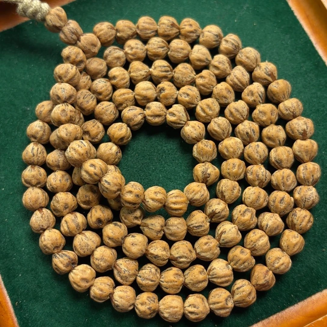 灰***狼手串柏香籽/百香籽