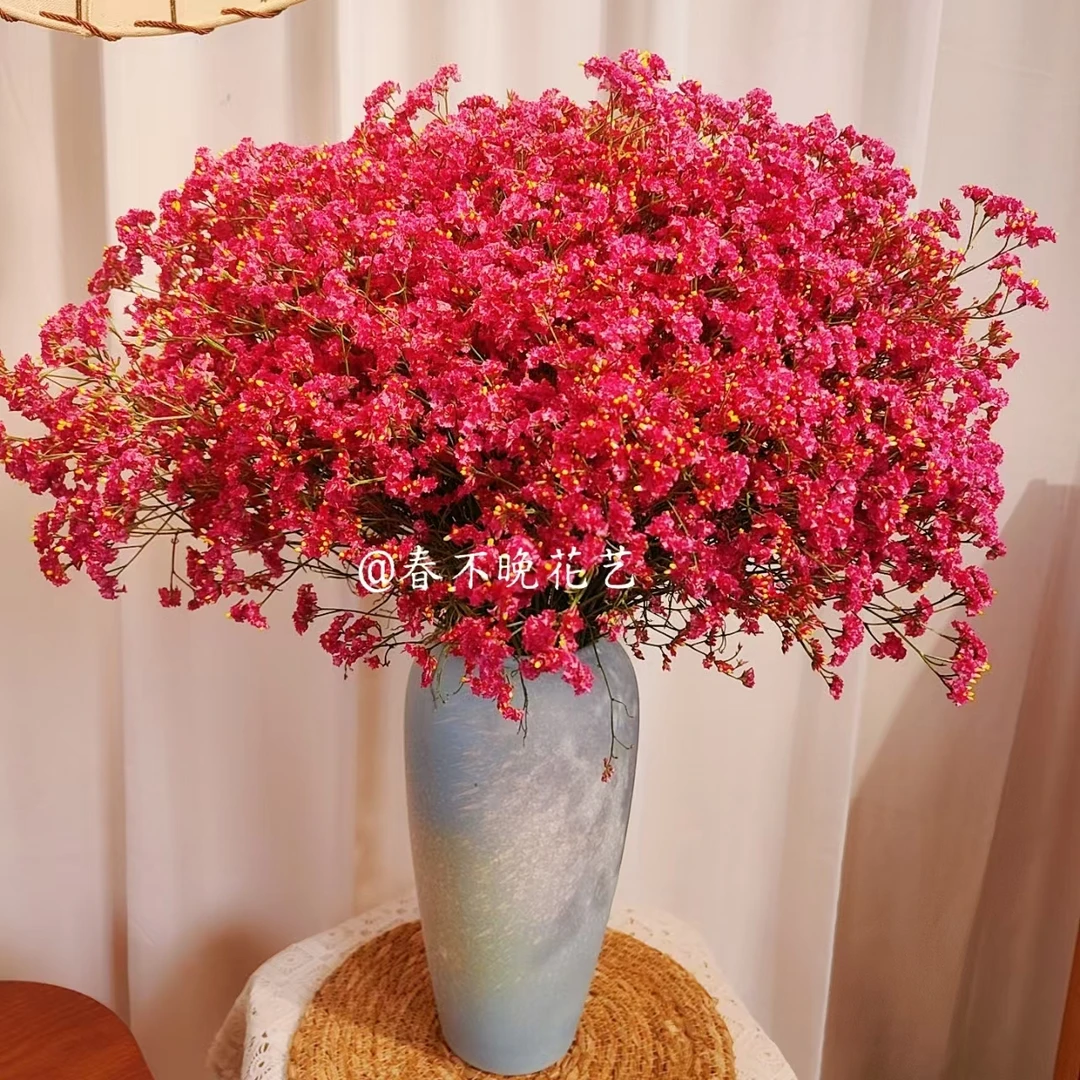 【买一送一】红水晶云南鲜花基地直发满天星干花花束水晶花