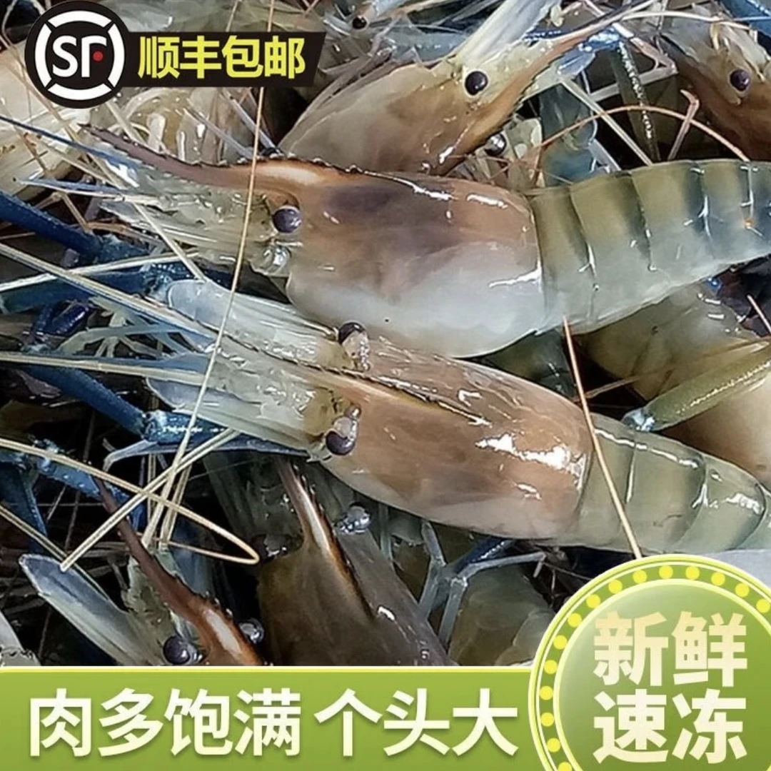 淡水养殖罗氏沼虾/新鲜速冻淡水大沼虾/顺丰发货