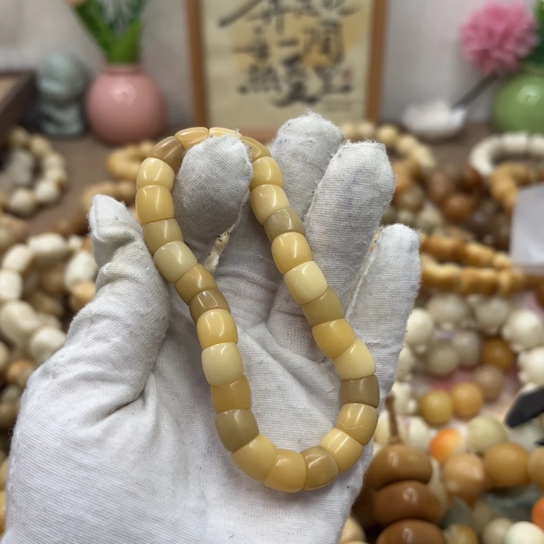 吊坠菩提根/象牙果9+干磨树王肠001