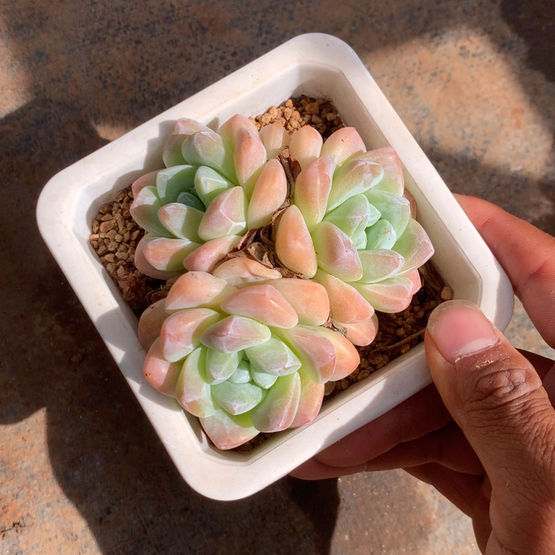 人工增水系统工程及控制