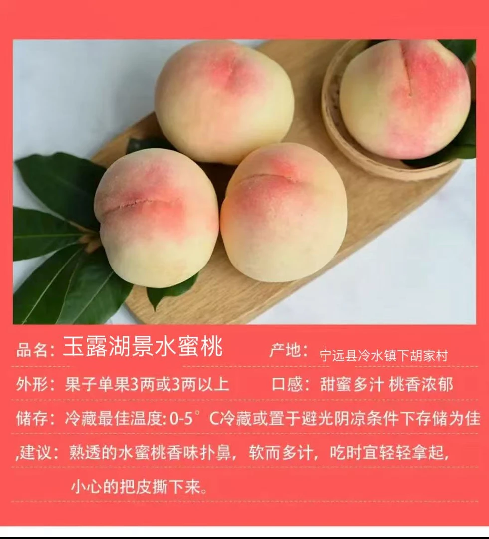 正宗玉露湖景水蜜桃新鲜应季爆汁香甜可口水果#盛桃农业#