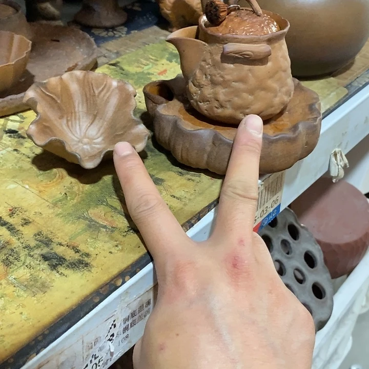瓷片荷花的花朵盛开到最后绽放光彩