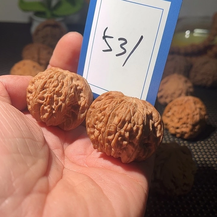 文玩核桃吊坠全品磨盘43尺531号