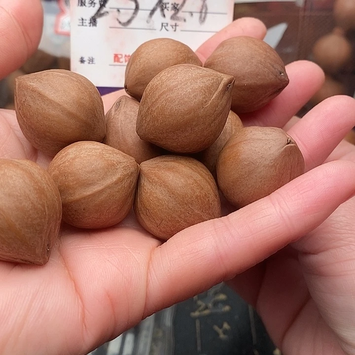 手串/手链橄榄核龙**人