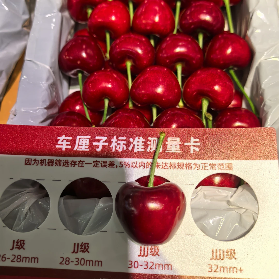 大连特大美早樱桃，85一箱，毛重1.8-2斤，3-4J美早