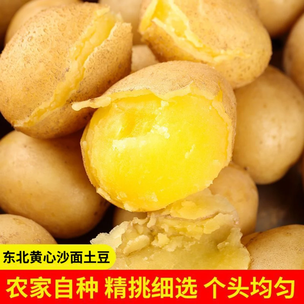 【带箱9.5-10斤】东北黄心新土豆2025年新土豆沙糯粉面开花马铃薯