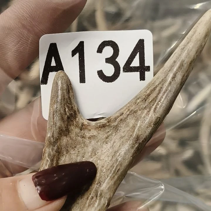 广***静鹿角鹿角鹿角鹿角鹿