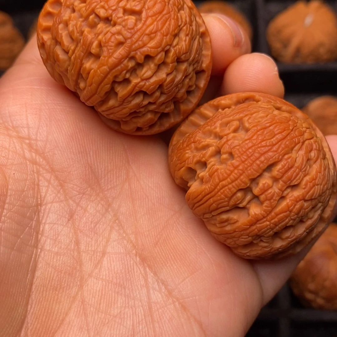 文玩核桃把件秦岭野生核桃